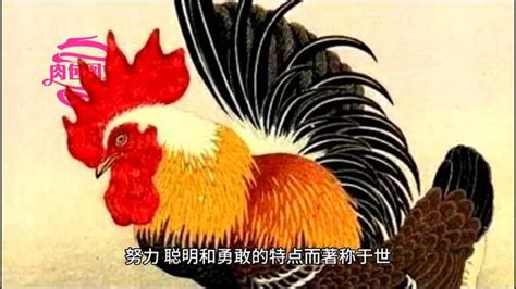 生肖 雞|生肖雞：獨特的魅力和文化內涵